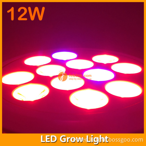12W E27/E26 Retrofit LED Grow Bulb